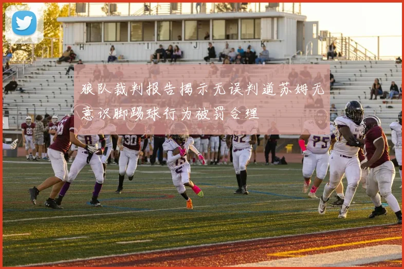 狼队裁判报告揭示无误判道苏姆无意识脚踢球行为被罚合理